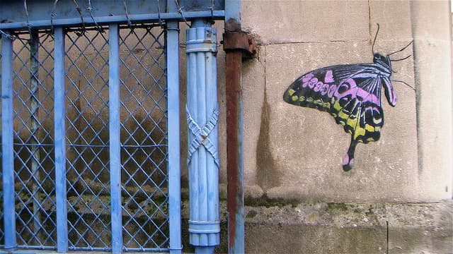   in Bristol