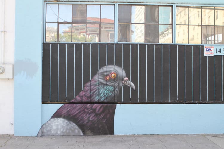  by ernest doty in Oakland