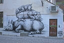 Roa