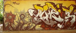 Morka
