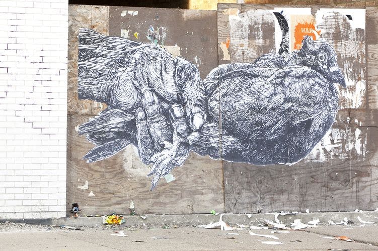 by Gaia in Chicago