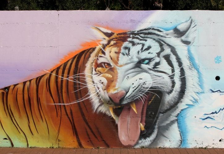  by RUCE in Catania