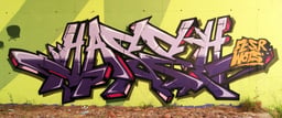 hase