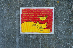 Le Chat Zèbre
