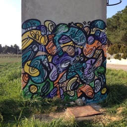 IDRO51