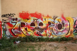 Ripo