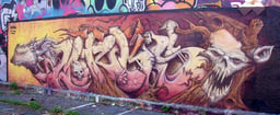 Morka