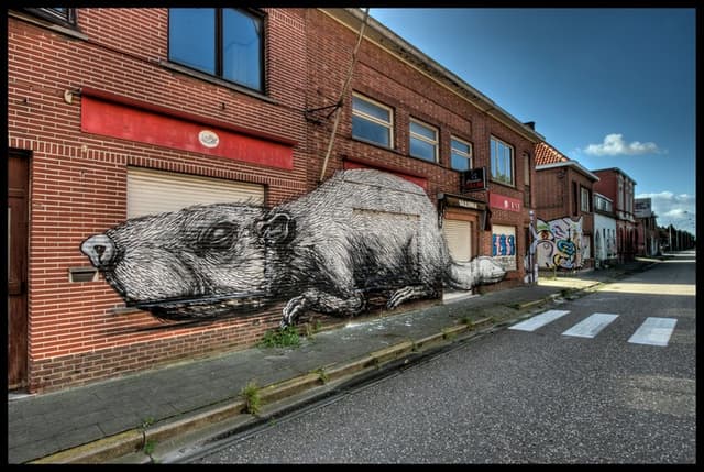  by Roa 