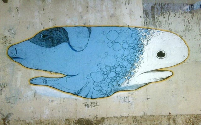  by Juan Fernandez 