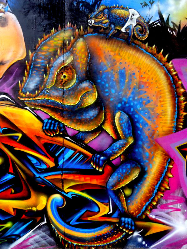  by rizo in Florianópolis
