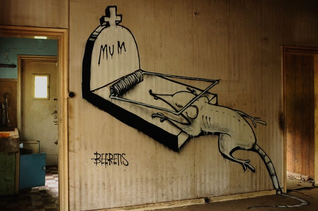   in Rennes