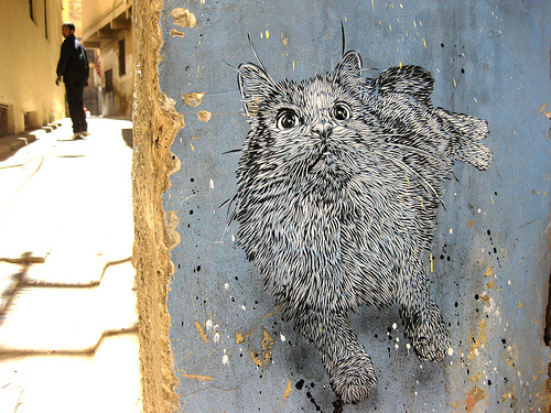  by C215 in Fes